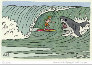 surfer shark