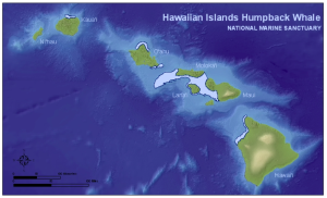 chart humpback hawaii